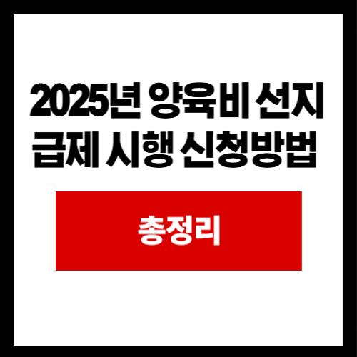 2025년 양육비 선지급제 시행 신청방법