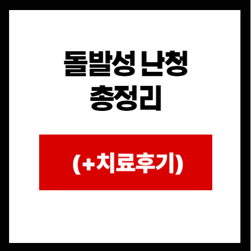 돌발성 난청 총정리