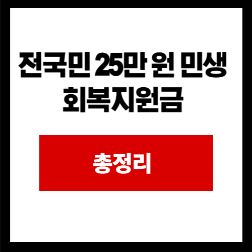 전국민 25만 원 민생회복지원금