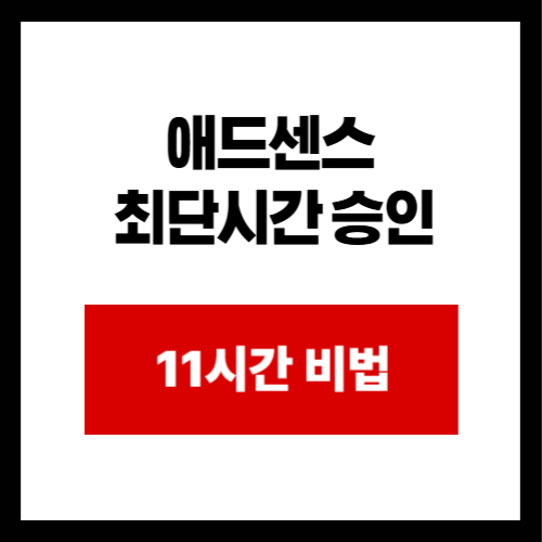 애드센스  최단시간 승인