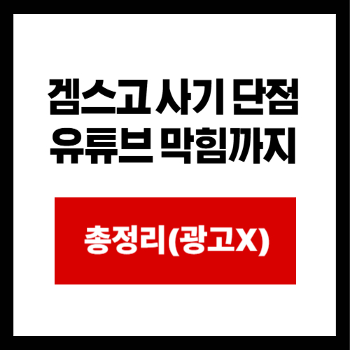 겜스고 사기 단점  유튜브 막힘까지 