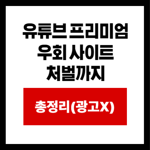 유튜브 프리미엄  우회 사이트  처벌까지