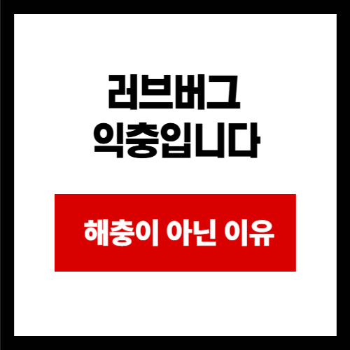 러브버그  익충입니다