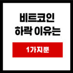 비트코인  하락 이유는 1가지뿐