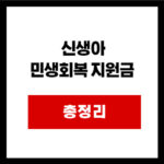 신생아  민생회복 지원금  